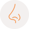 Sinus Surgery